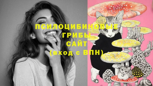 mdma Михайловск