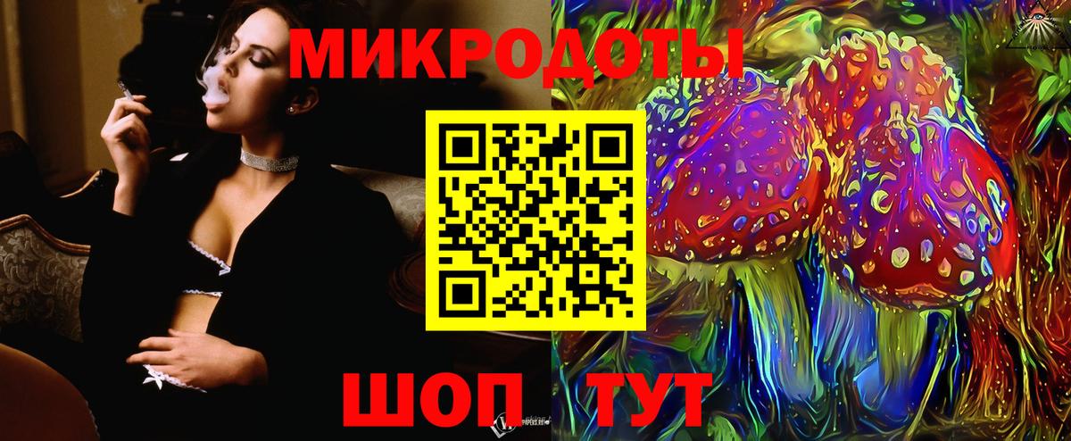 Псилоцибиновые грибы Psilocybe Чусовой