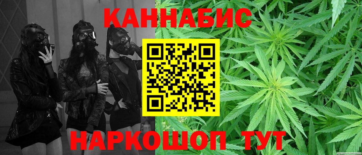 Конопля MAZAR  Чусовой  Бошки марихуана сатива 