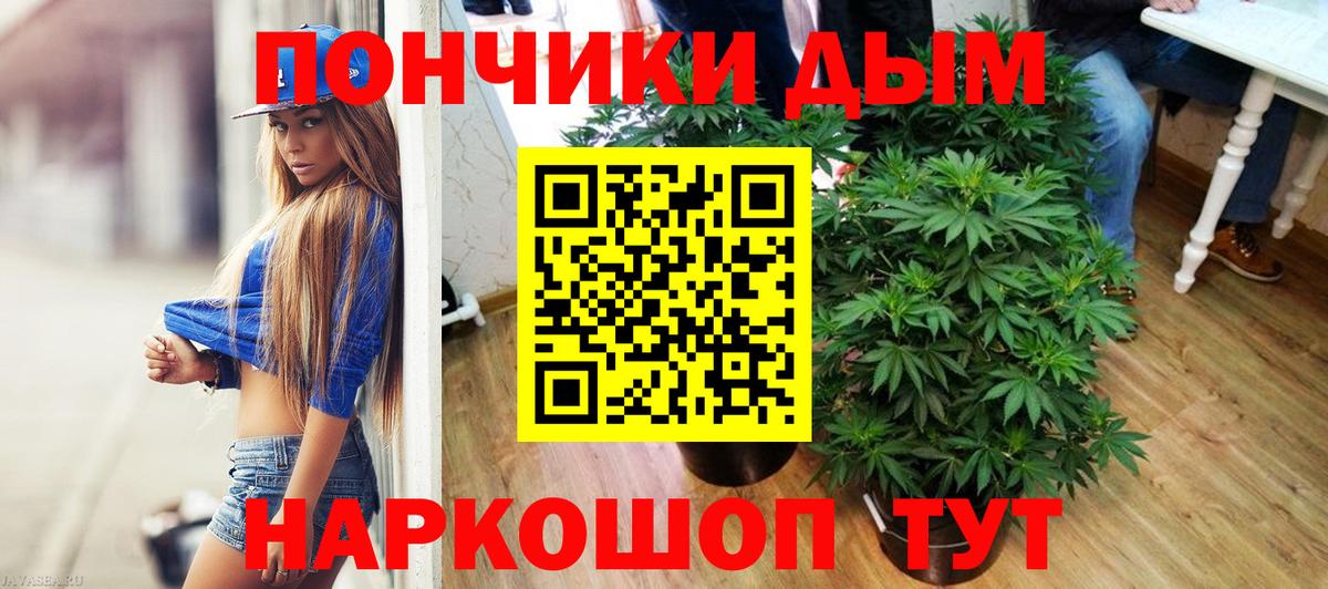 Бошки марихуана Amnesia Чусовой